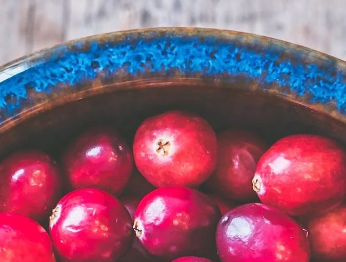 homemade cranberry sauce recipe
