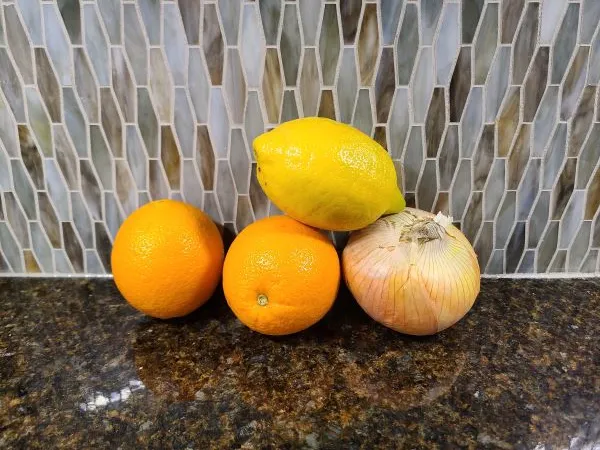 citrus-onion-turkey