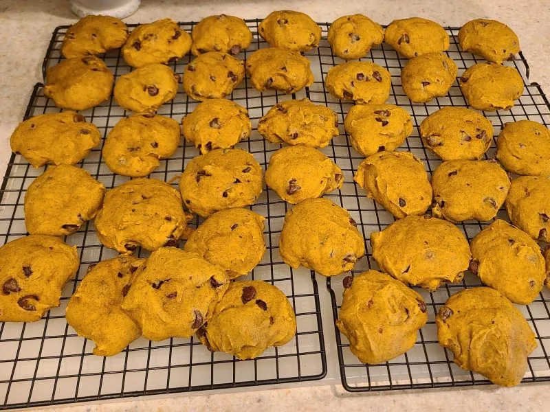 Copycat Kroger Pumpkin Chocolate Chip Cookies Recipe
